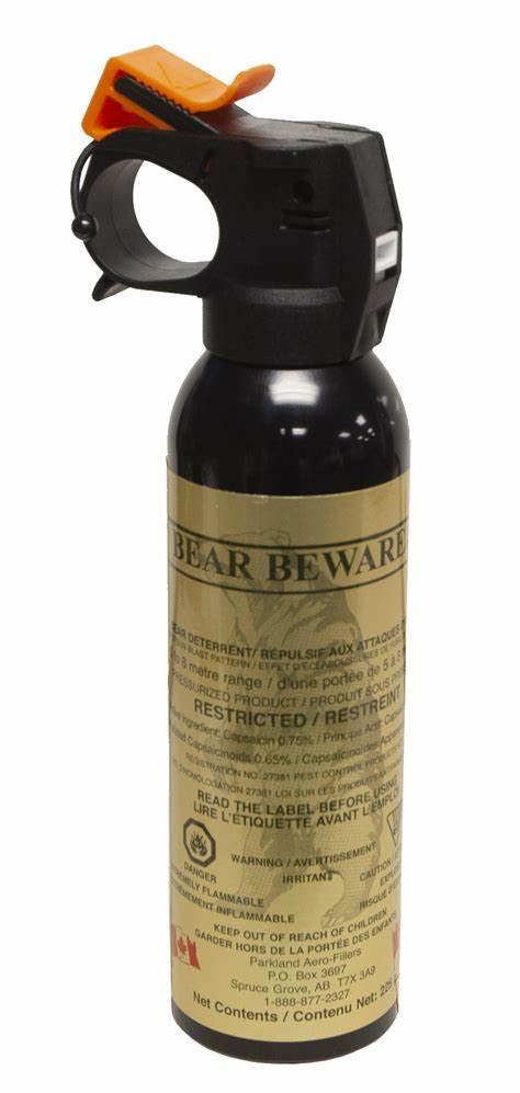 Bear Beware