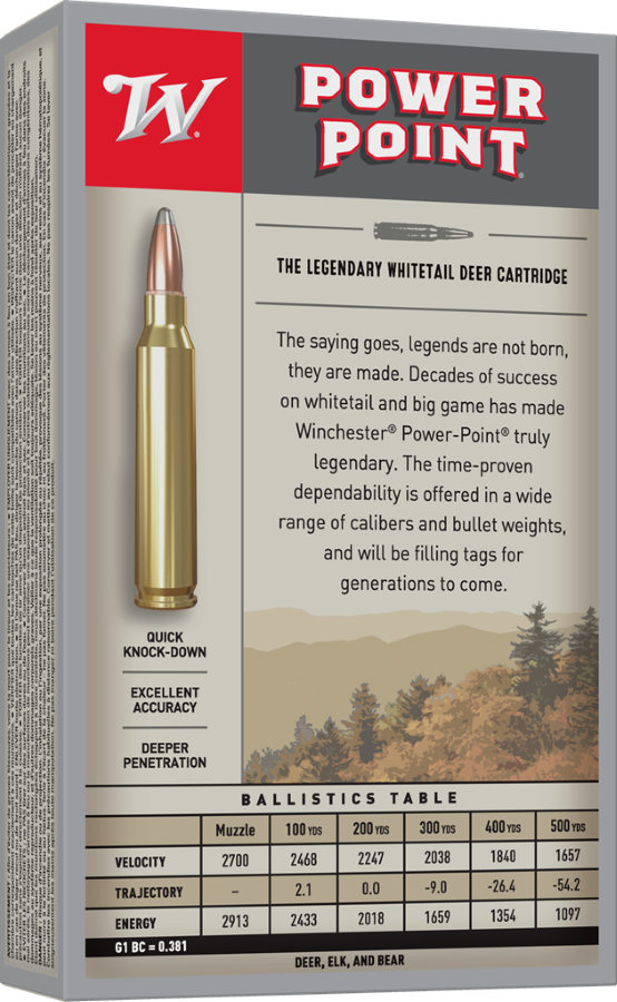 30-06 WINCHESTER SUPER X 180GR