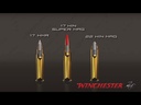 Winchester Rimfire Ammo 17WSM Win Super Mag 25 gr Plastic Tip Varmint HE 