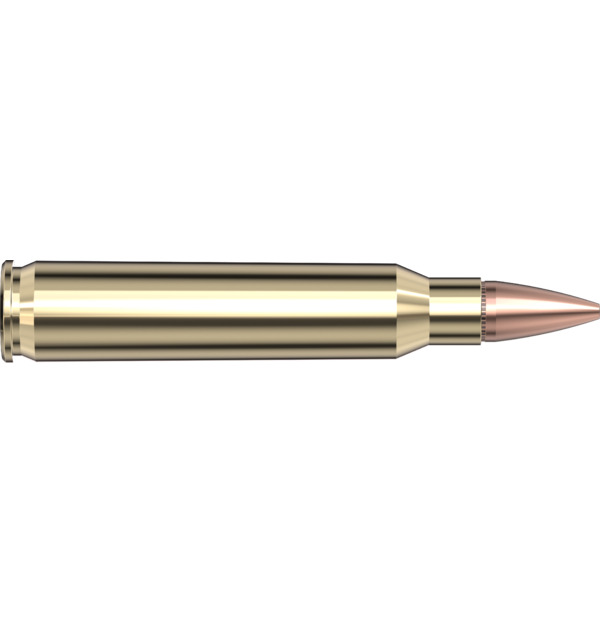 Hornady 223 Rem 55gr HP American Gunner®