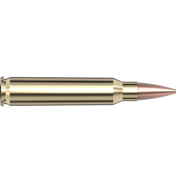 Hornady 223 Remington 75 gr BTHP Match™ Hornady BLACK®