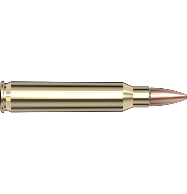 Hornady 223 Remington 55 gr FMJ/BT