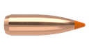 22 Caliber 55gr Ballistic Tip Varmint (100ct)