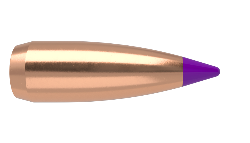 6mm 55gr Ballistic Tip Varmint (100ct)