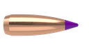 6mm 55gr Ballistic Tip Varmint (100ct)