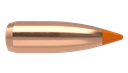 Nosler 22 Caliber 50gr Ballistic Tip Varmint (100ct)