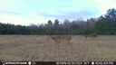 Stealth Cam Revolver 360° Cellular Trail Camera 