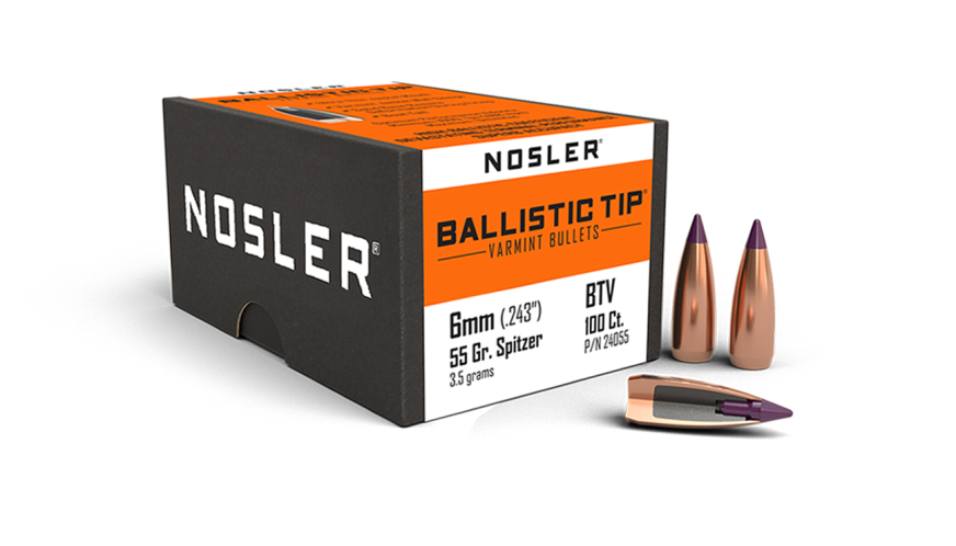 6mm 55gr Ballistic Tip Varmint (100ct)