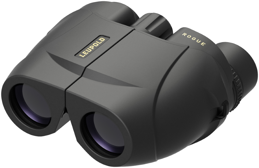 Leupold BX-1 Rogue 10x25m Compact 