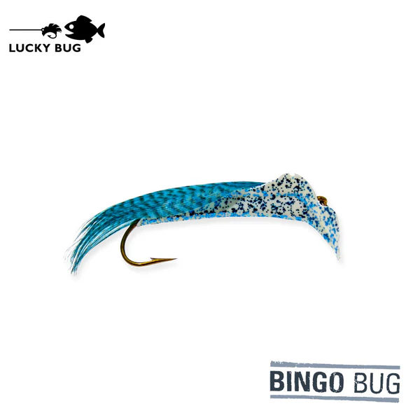 Lucky Bug Bingo Bug #2 Anchovy