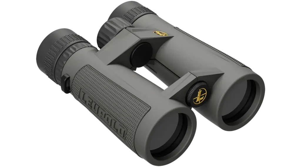 Leupold BX-5 Santiam HD 10x42mm 