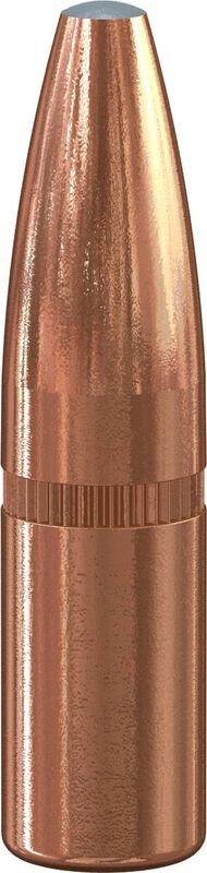 Speer .243 Cal 100 Grain Grand Slam Bullet