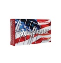 Hornady 300 Winchester Magnum 180 Grain Interlock 