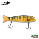 Lucky Bug Zombie Maxx -Yellow Perch 5" 