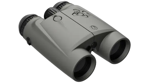 Leupold BX-6 Range HD 10x42mm 