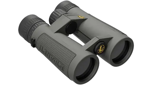 Leupold BX-5 Santiam HD 10x42mm 