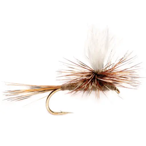 Dry Flies Adams Parachute #10