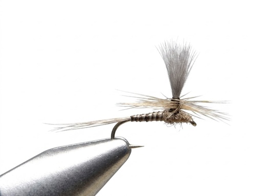 Dry Flies Blue quill Parachute #10