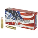 Hornady American Whitetail .450 Bushmaster Ammunition 20 Rounds 245 Grain